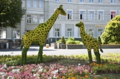 Bild_23